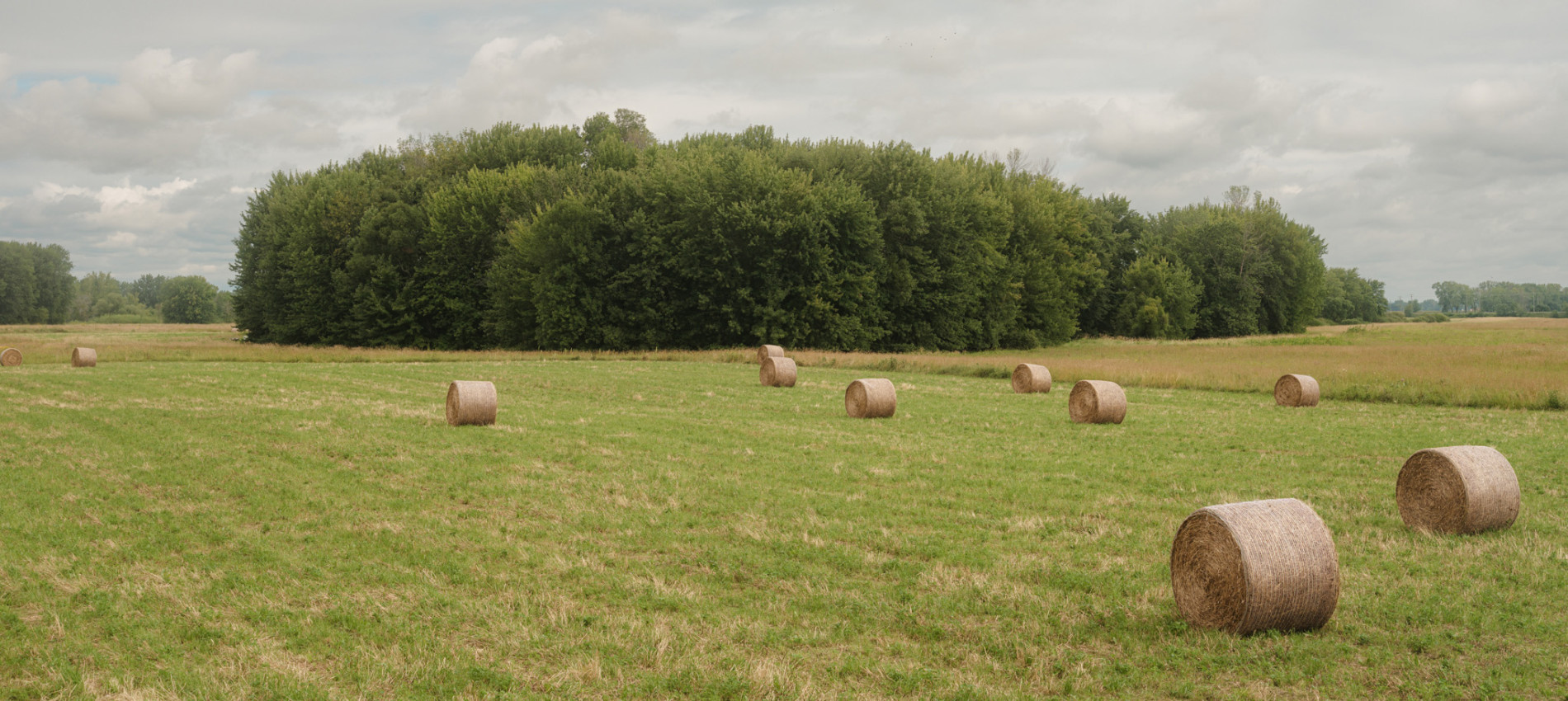 La prairie agricole