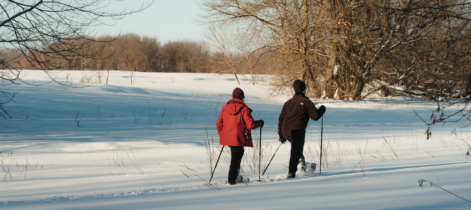 Une année de plein air à la SCIRBI