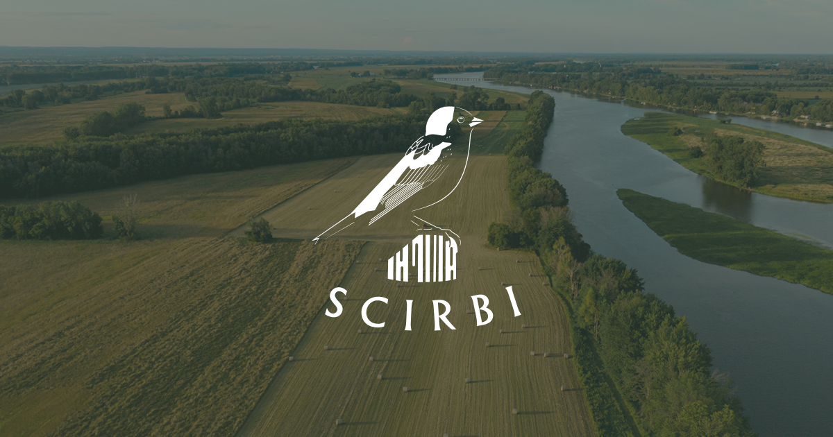 (c) Scirbi.org
